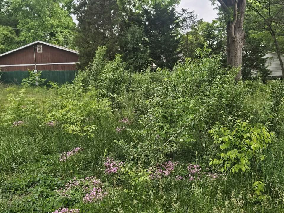 JJ landscaping services llc