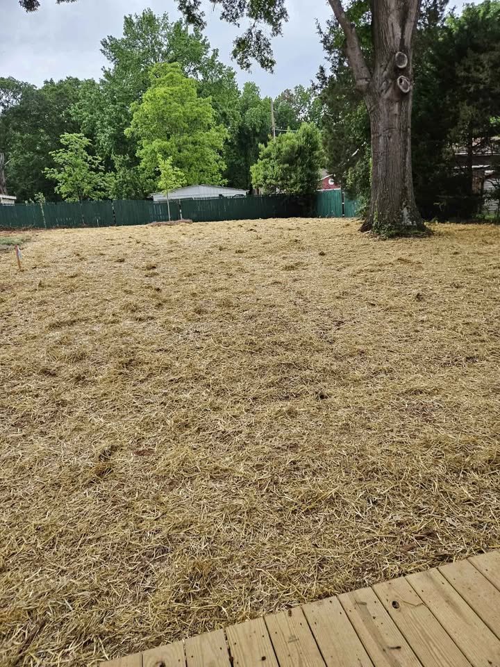 JJ landscaping services llc